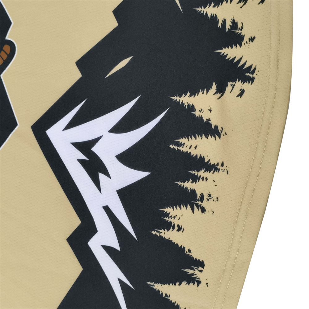 Custom Jerseys 100% Polyester Sublimation Ice06