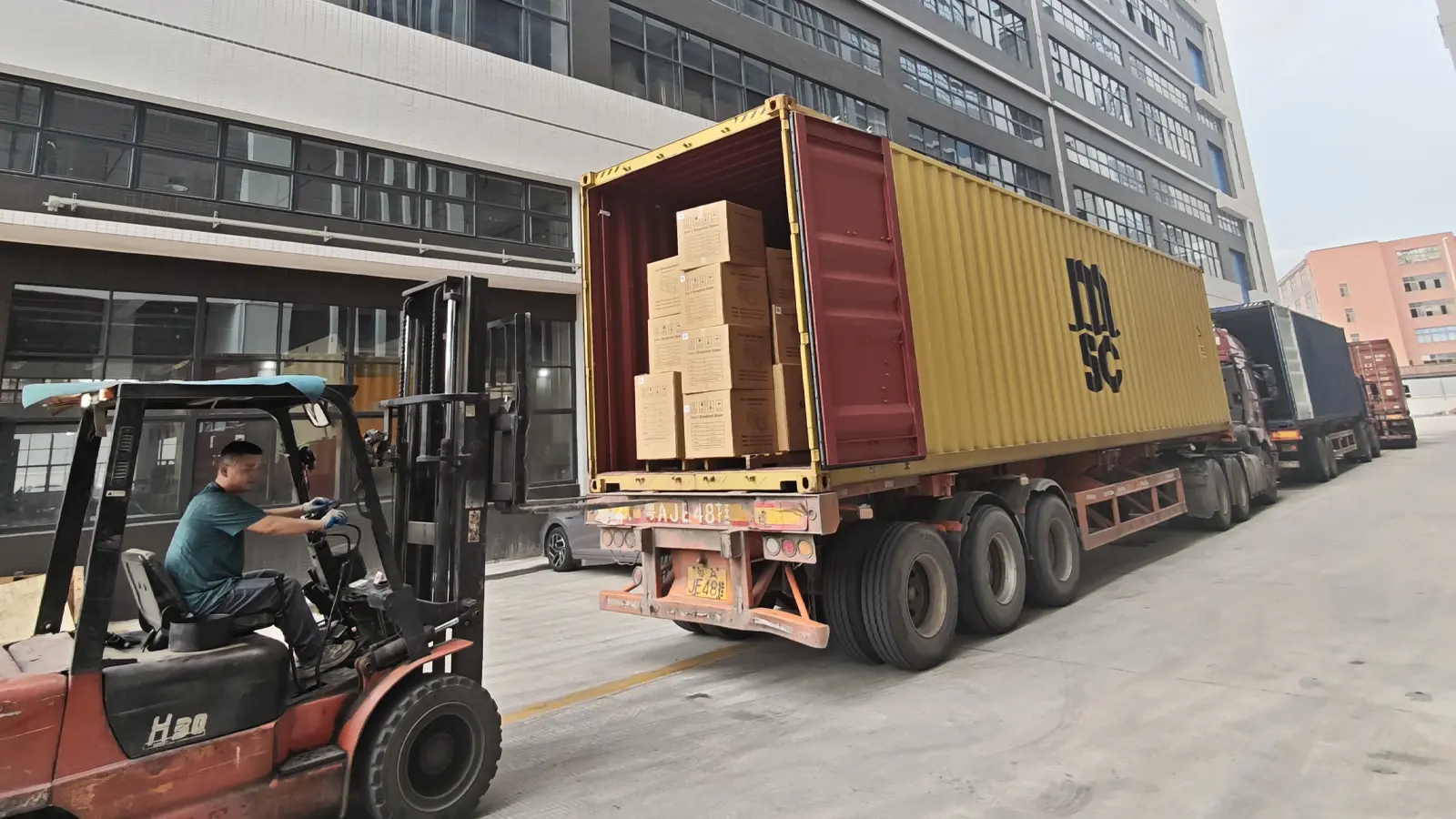 How APEXDURA Loads Containers for Global Kitchen Appliance Shipments