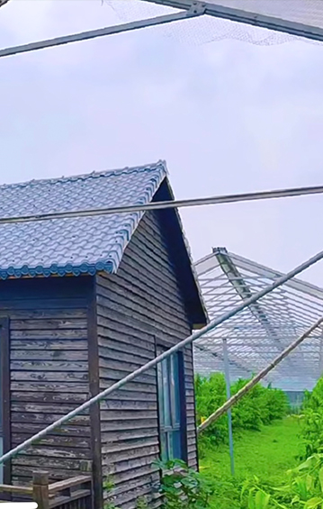 Agricultural Buildings