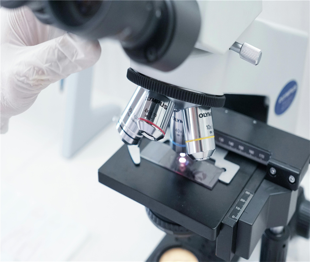 MONO laboratory.jpg