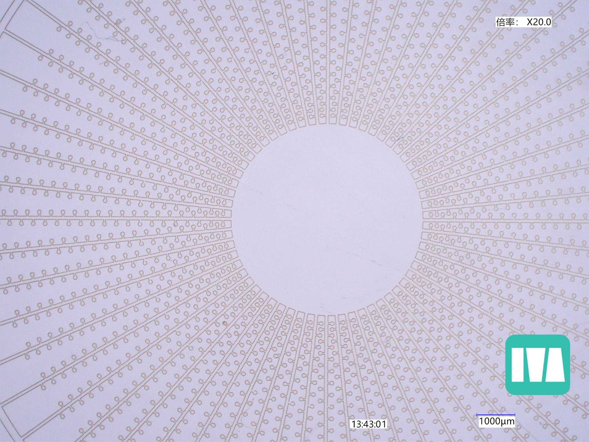 df320aff6b249a8016ab860356041310 copy.jpg