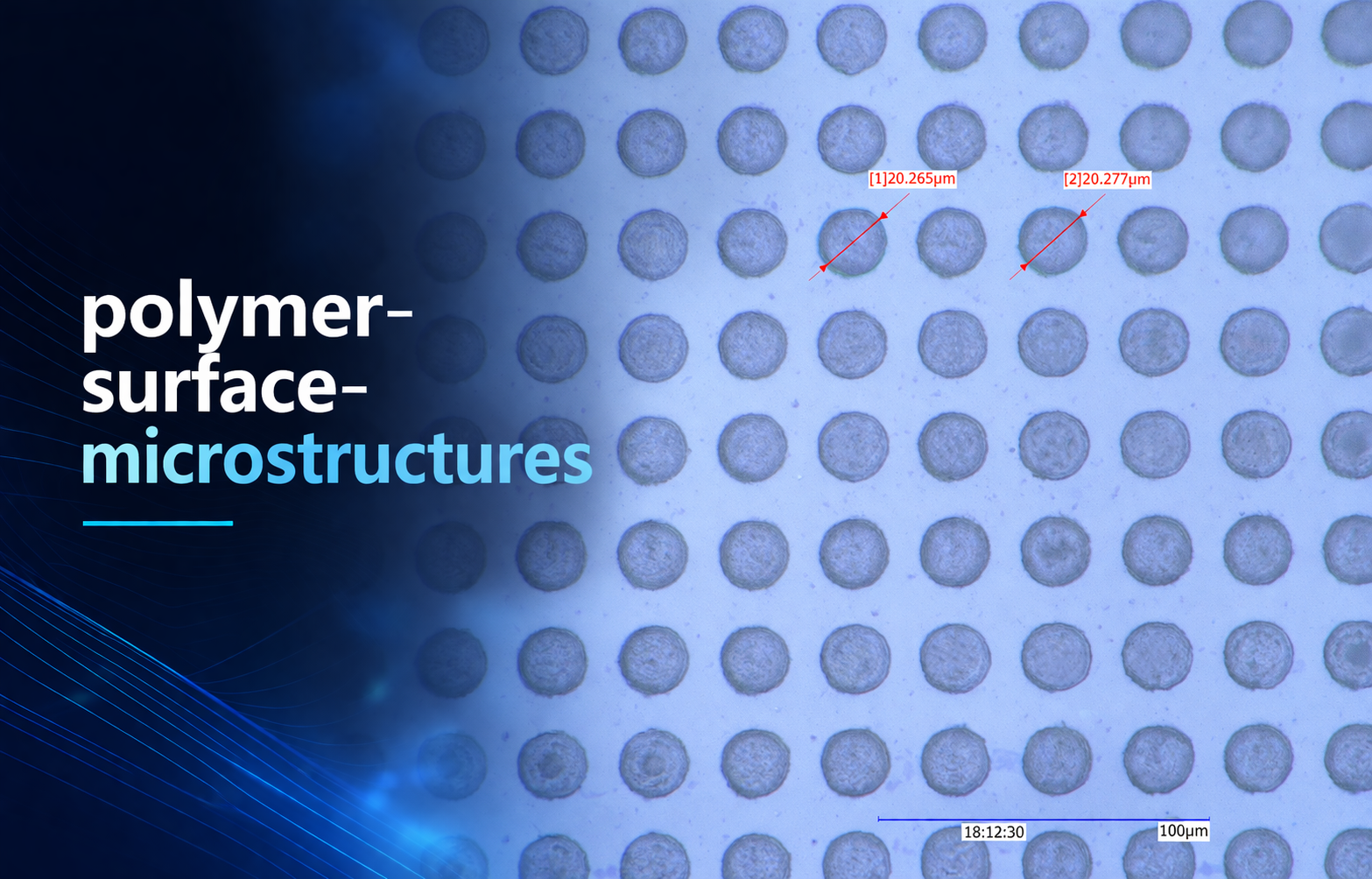 Polymer Surface Microstructures with Femtosecond Lasers