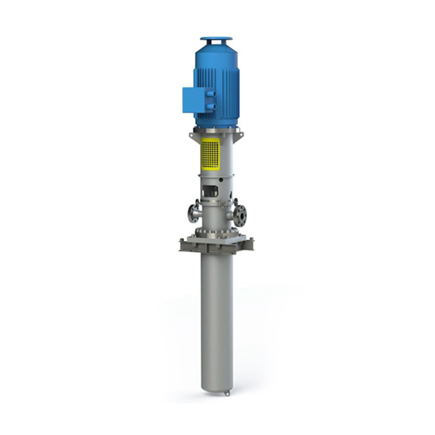 Vertical barel pump (API610 VS6)