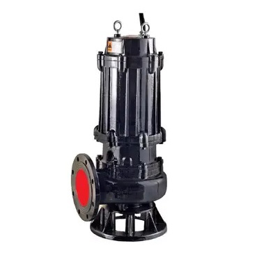 QW Submerged Sewage Pump