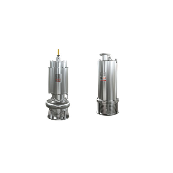 BQS series-stainless steel electric pump