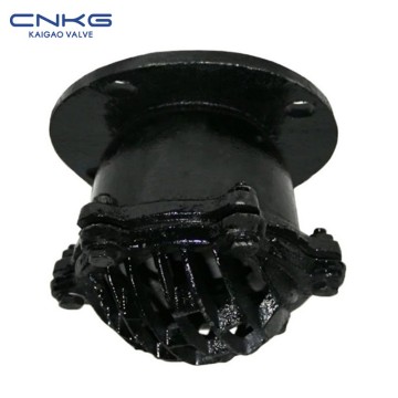 Cast Iron Flanged Bottom Valve H42X