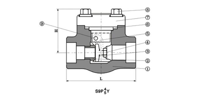 H61Y, H64Y Pinutos nga Asero nga Taas nga Presyon nga Giwelding nga Check Valve (3)