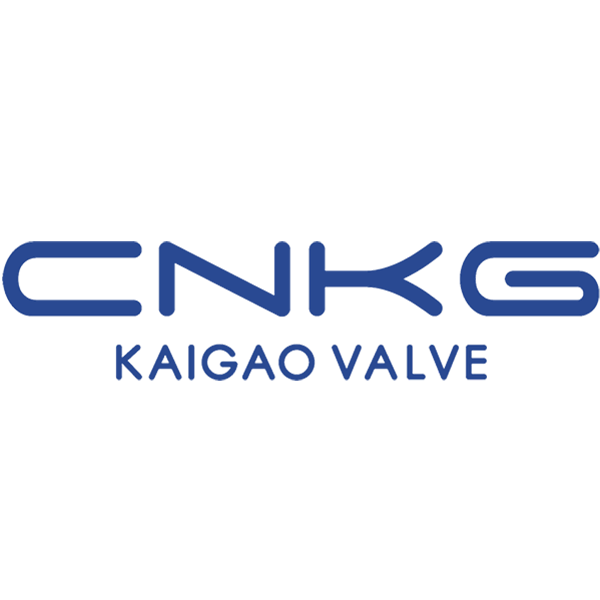 ikonoa2