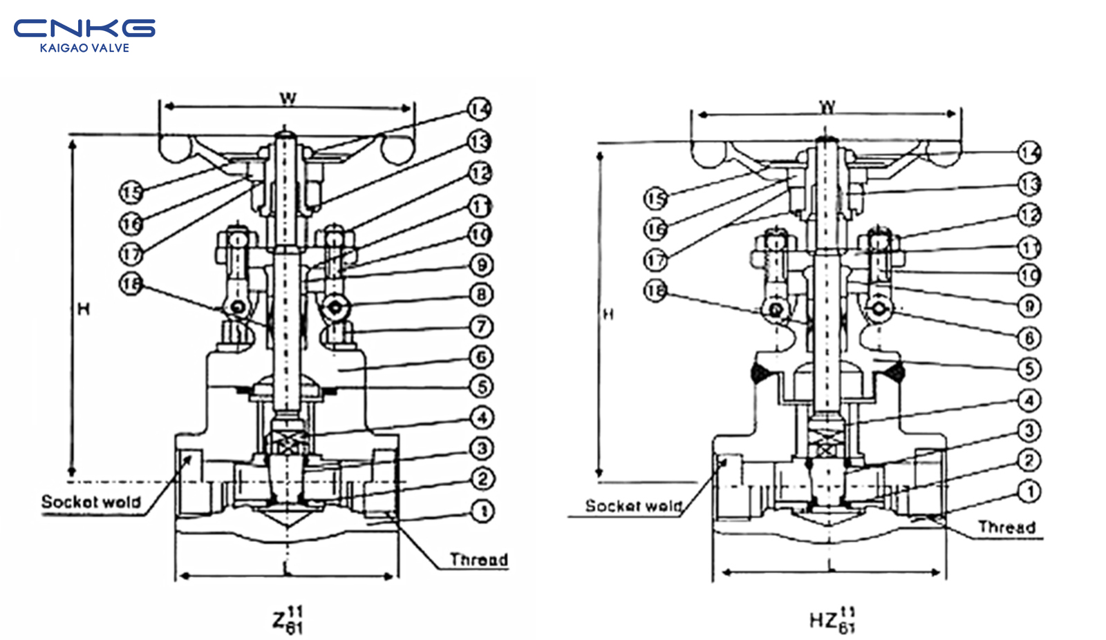 CL150-800 Altzairu Forjatu NPT (S)