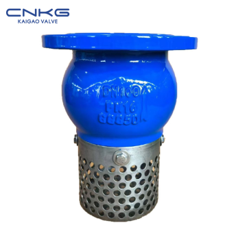 Ductile Iron Flanged Bottom Valve With Stainless Steel Strainer