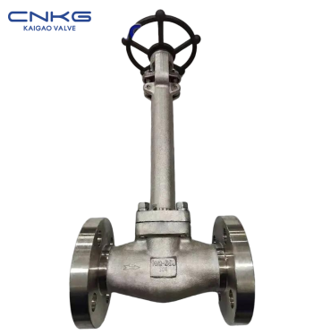 API 602 D/J41Y-800LB Cryogenic Globe Valve