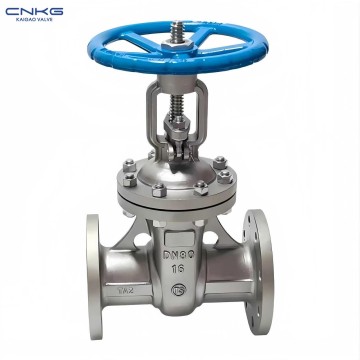 Balbula sa Ganghaan sa Titanium Flange sa TA2