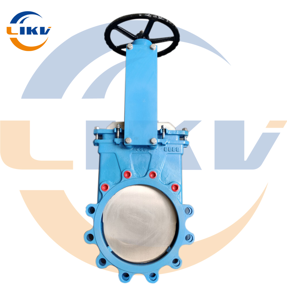 China Iron valve experts that meet the diverse needs of industry - LIKE Valves