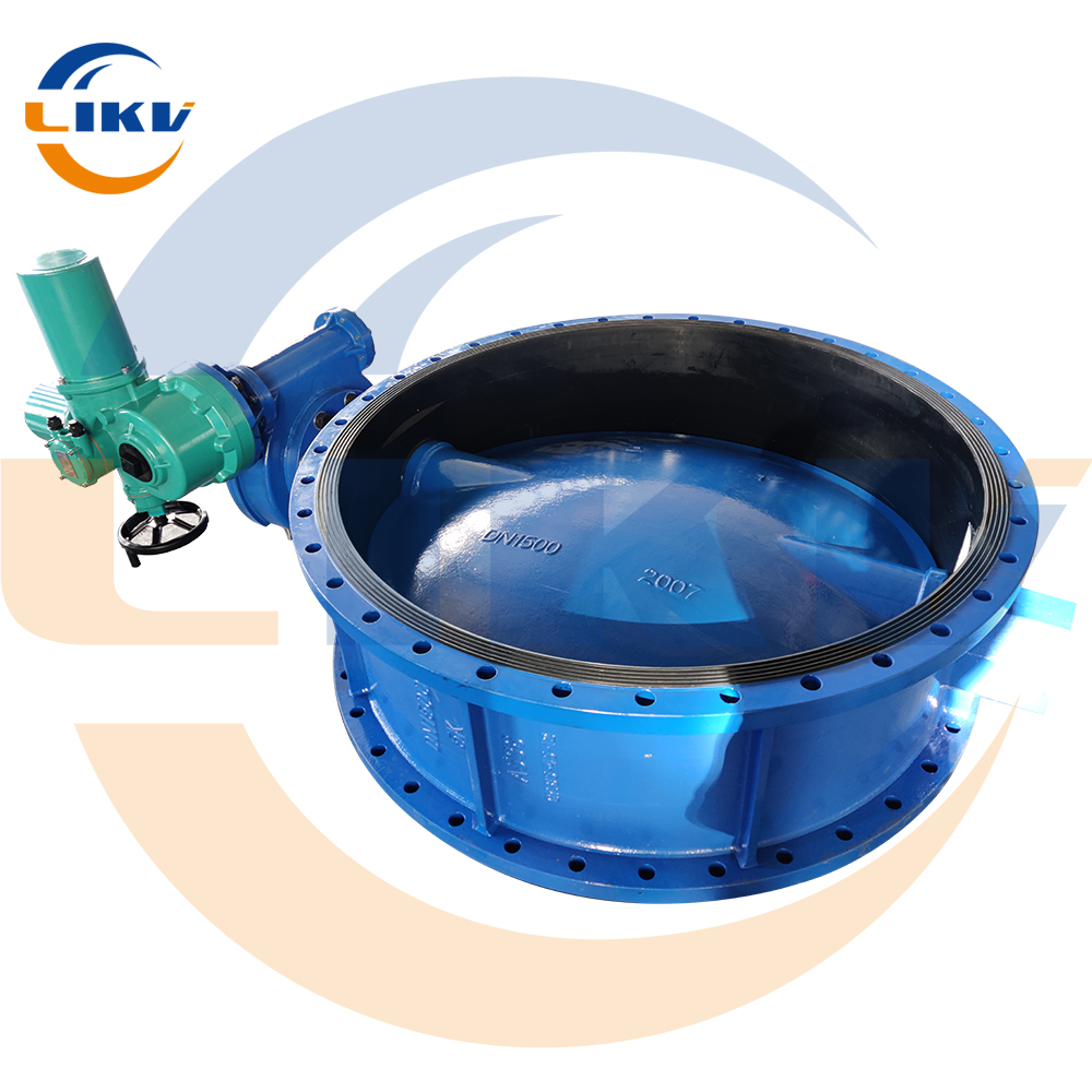 Top Professional Iron Valve Manufacturer Ensures Quality Assurance