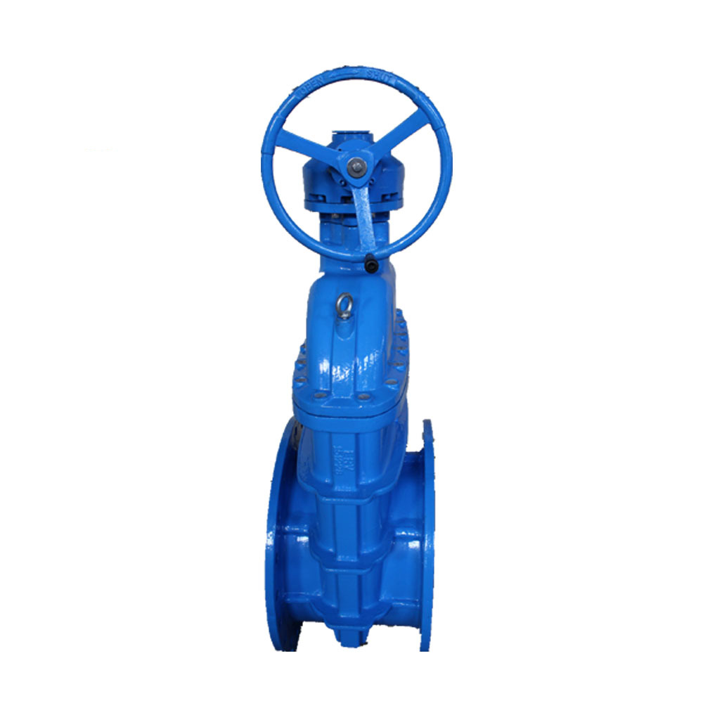 large diameter nrs gate valve...