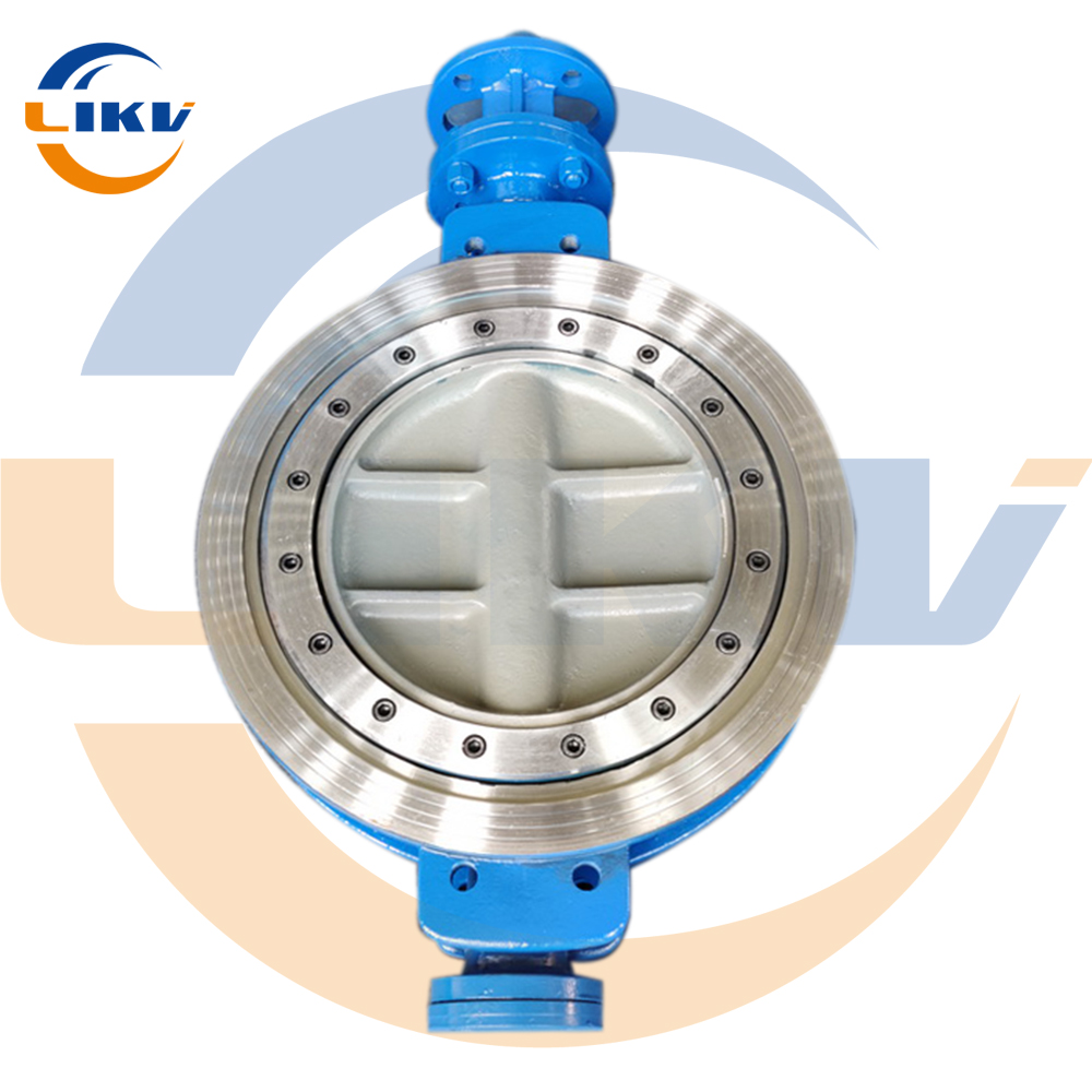 Stainless steel hard seal cla...