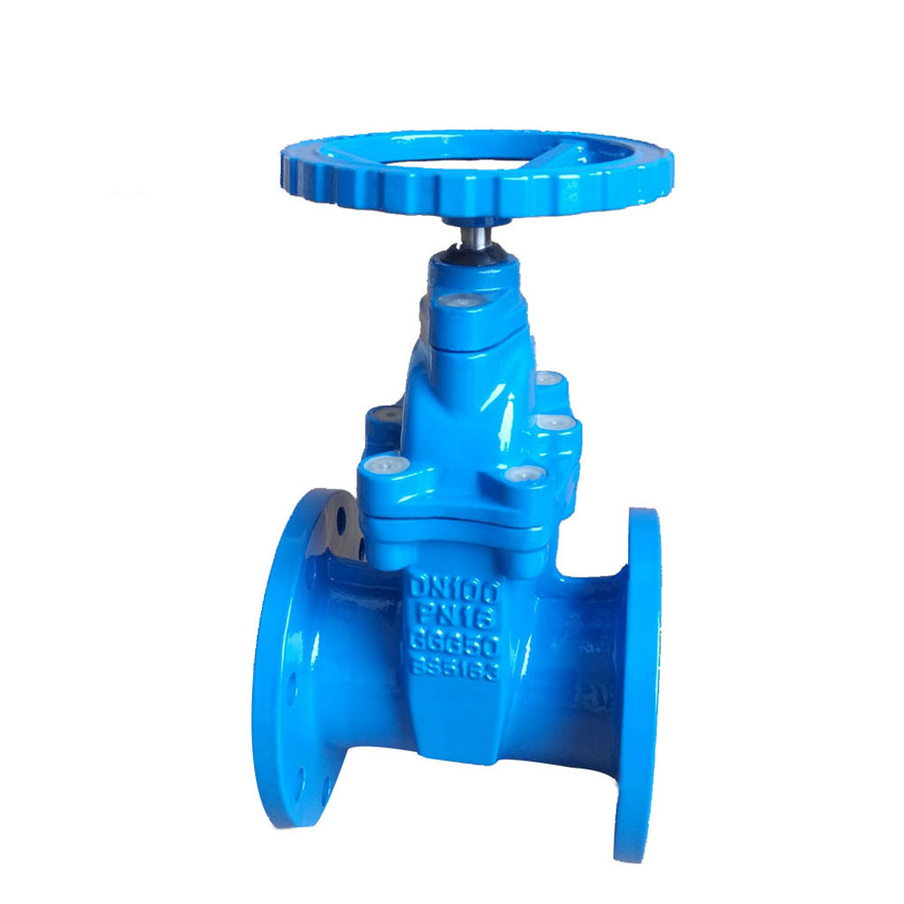 Resilient Gate valve