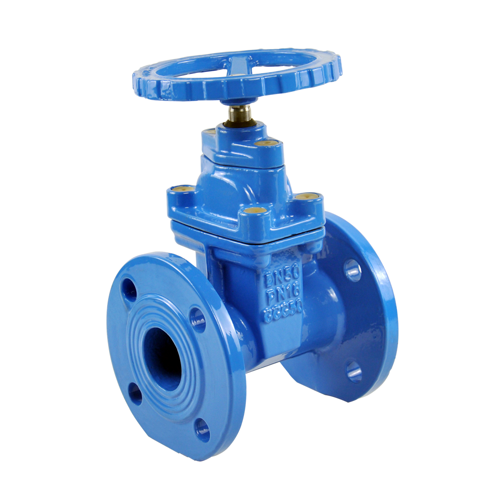 Resilient Gate valve