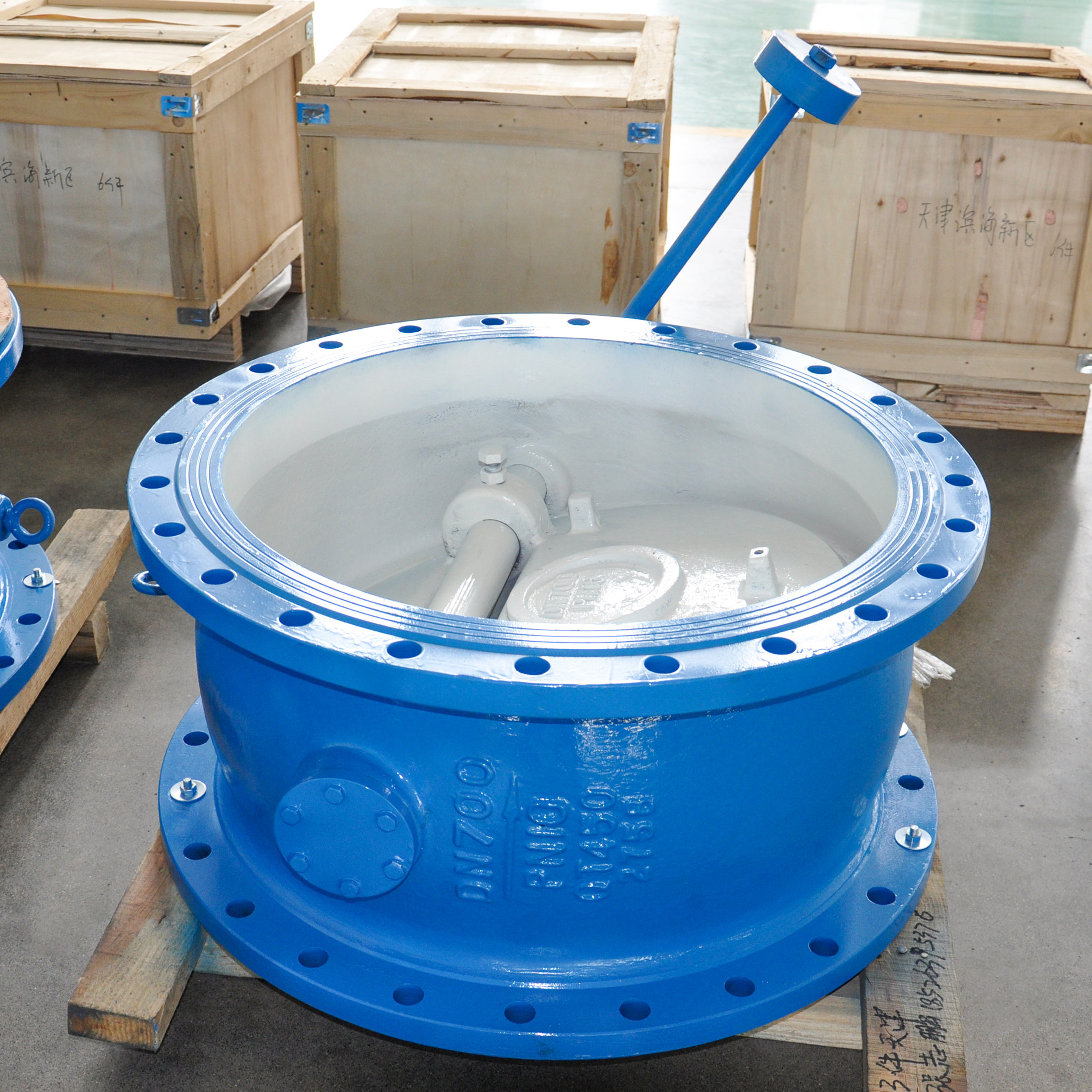OEM Supply Butterfly Swing Flange Check Valve with Counterweight