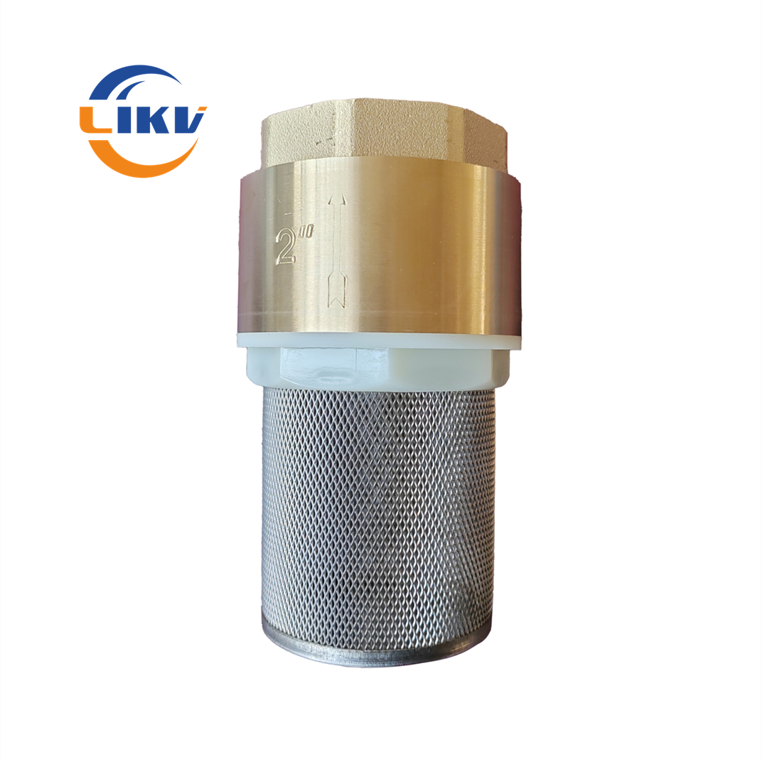 Brass Foot Valve 