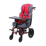 trw258lbygp-1