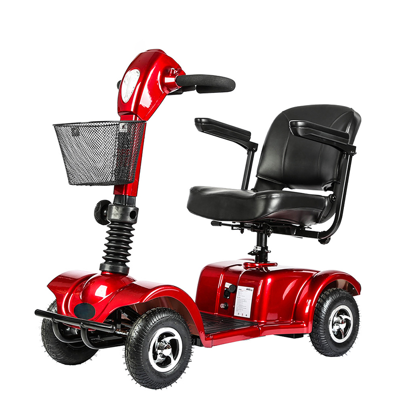 Electric scooters and pets: Are your four-legged passengers