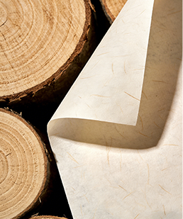Paper product material (5)