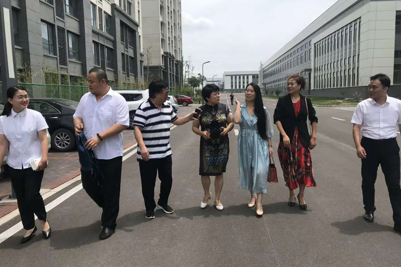 Sanying-(Shandong)-Medical-Technology-Co