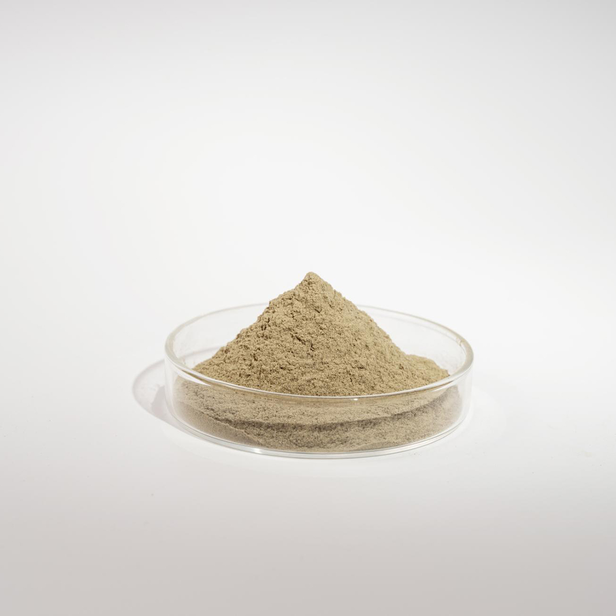 RESION Polvere di alginato, massa di formatura | 2 kg | polvere di formatura, massa a sgancio rapido, deforma in 10 minuti, biodegradabile, delicato sulla pelle, alginato