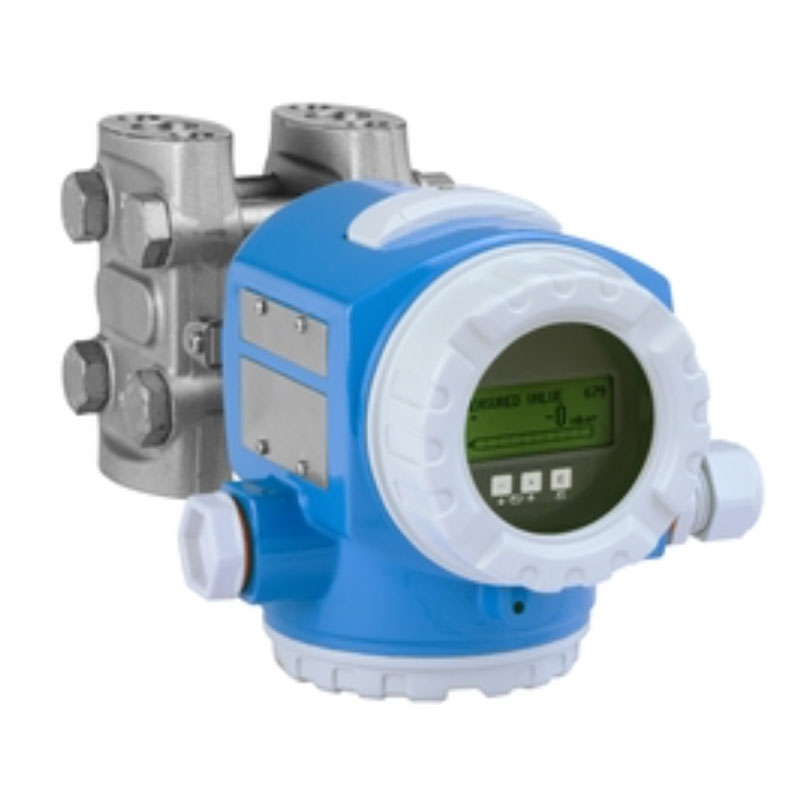 Differential pressure transmitter wit...