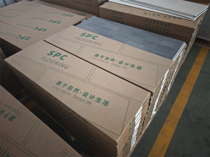 Packaging01