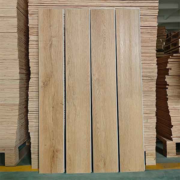 Vinyl Plank Flooring Design