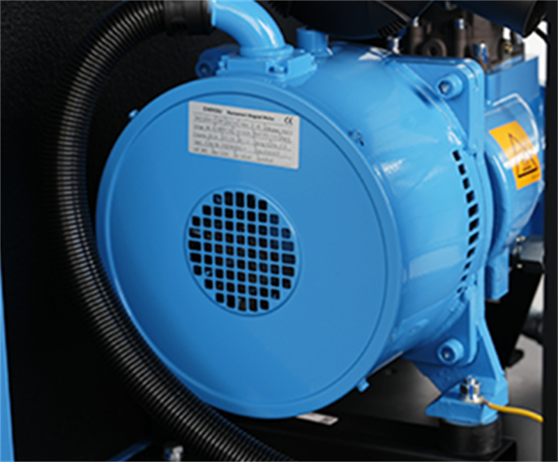 PM VSD Motor