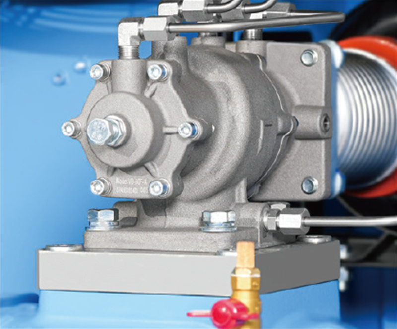 VSD-specific Vacuum Intake Valve