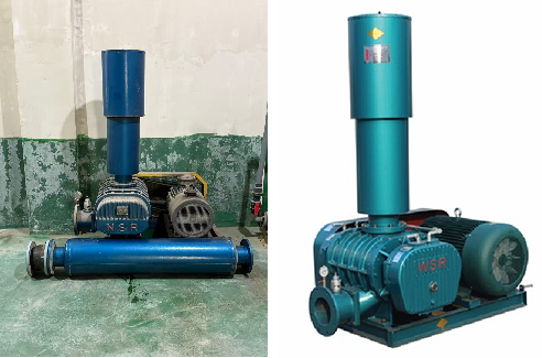 Deman ORV Screw Blower Redefining Efficiency in Low-Pressure Applications (2).jpg