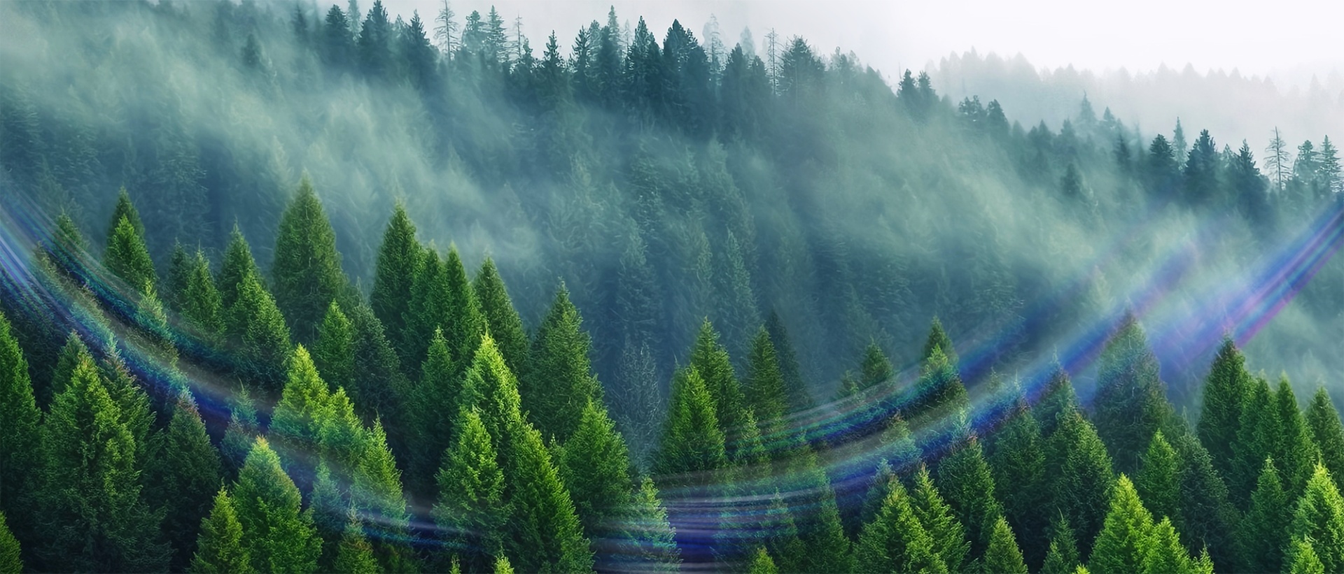 banner1
