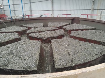 Flotation Column-4.0m