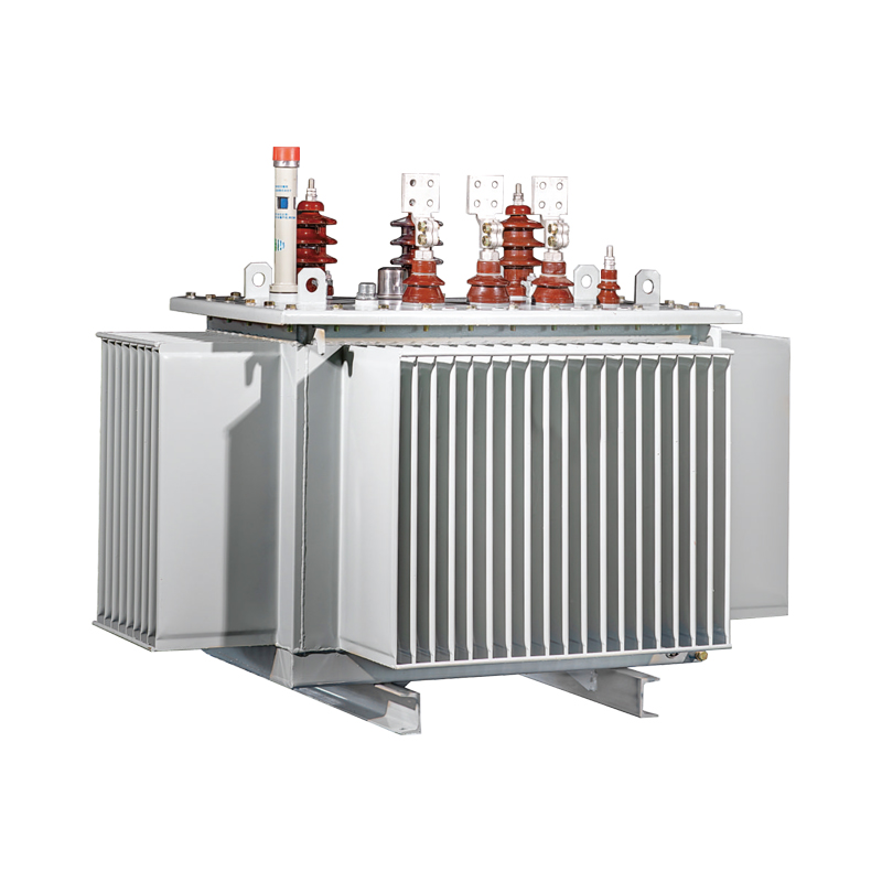 S□ series 6-10kV Oil-Immersed Power Transformer