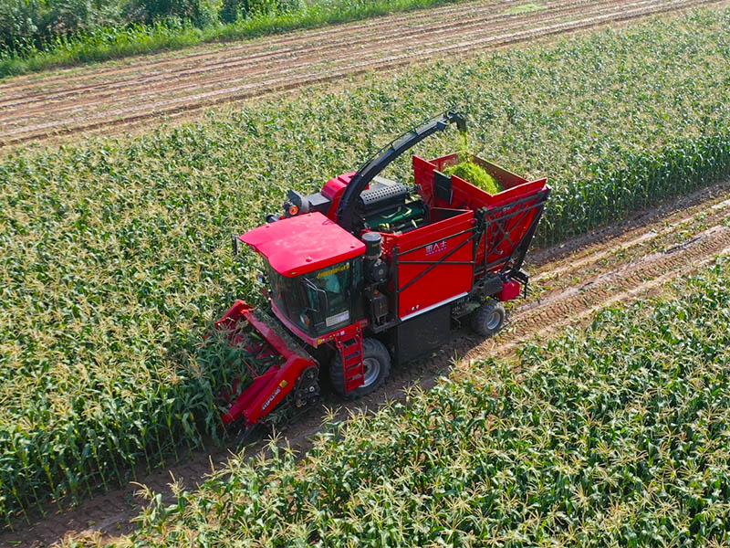 Golddafeng Maisernter: Innovation und Vertrauen – führend in der globalen Maiserntemaschinenindustrie...