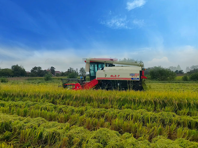 Choosing the Right Paddy Harvesting Machine: Mounted vs. Combined Rice Harvesters for Different F...