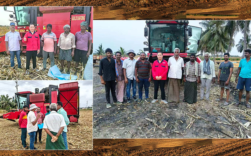 Field Expertise Goes Global: Golddafeng Empowers Farmers Worldwide with Professional Support