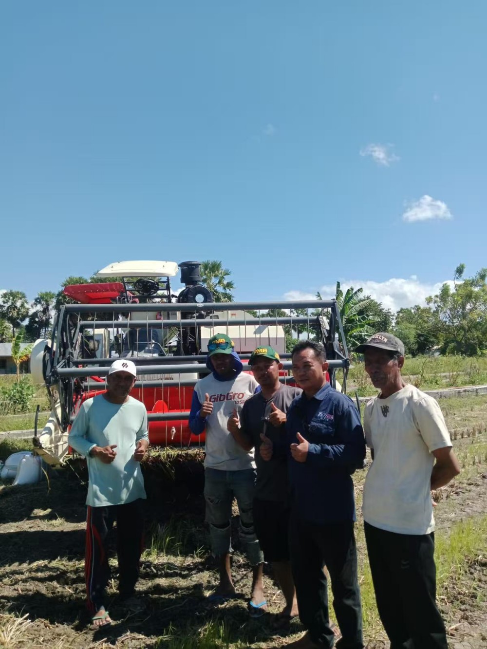 Golddafeng brand influence in Indonesia