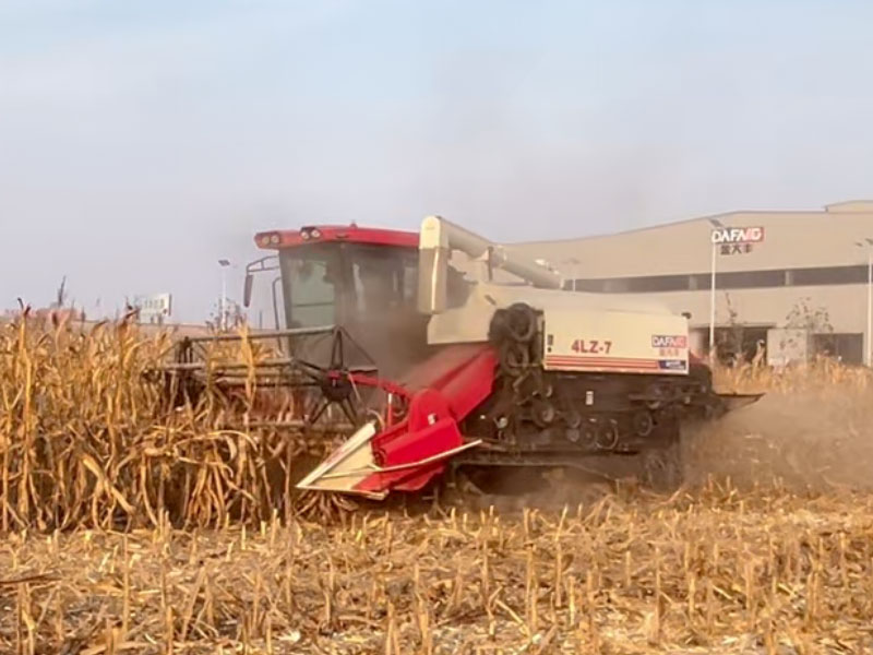 Terrain-Adaptive Rice Harvester Selection: A Practical Industry Guide For Global Paddy Farming