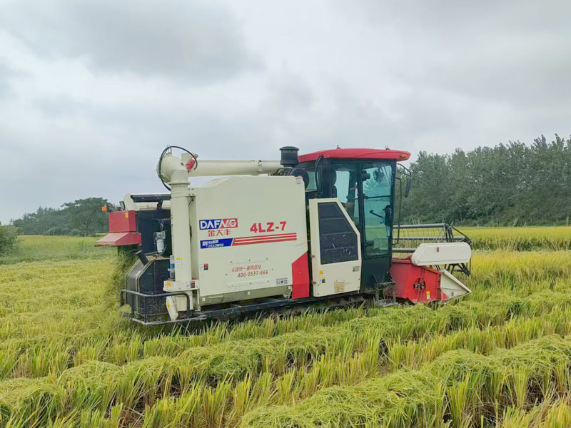 Complete Maintenance Guide for Rice Combine Harvesters | Field & Off-season Care Tips