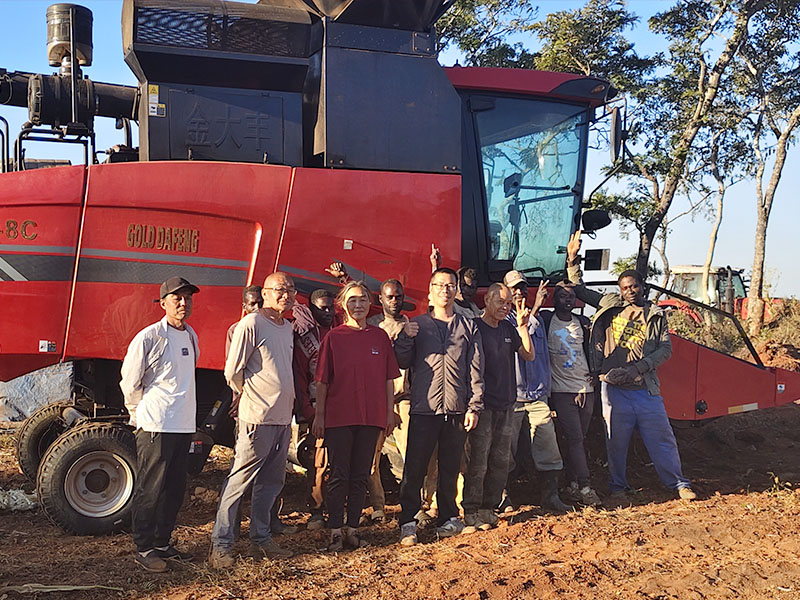 Golddafeng Wheat Combine Harvesters Perform Excellently in Zambia, On-site Engineers Guide Local ...