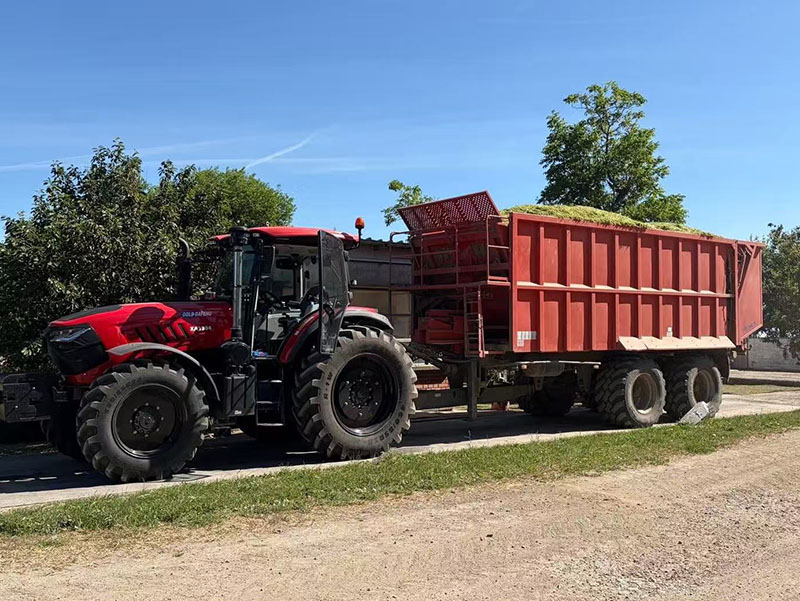Excellent Field Performance of golddafeng Tractors Wins Wide Popularity and Repeat Orders in East...