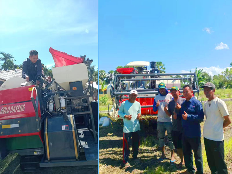 Golddafeng Rice Harvesters Deliver Stable and Efficient Performance in Ghana’s Rice Fields