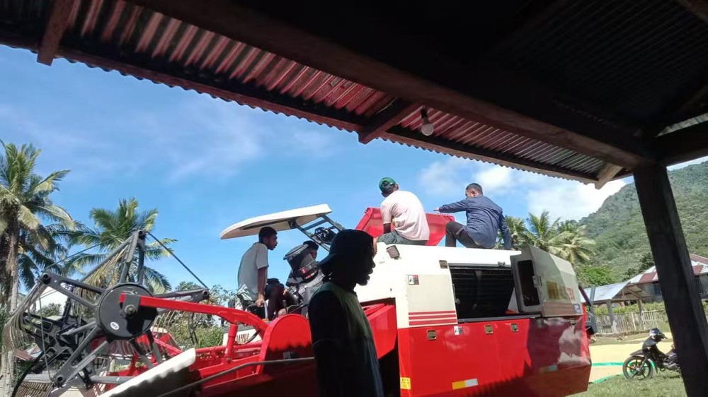 Golddafeng harvester field operation