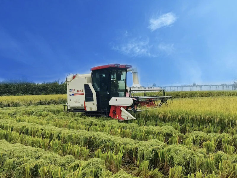 Comment choisir une moissonneuse-batteuse pour les rizières et les terres arides : adaptation au terrain, sélection des paramètres et…