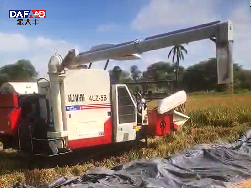 golddafeng Rice Harvesters Thrive in South America: Hardcore Adaptability Unlocks Overseas Operation Scenarios